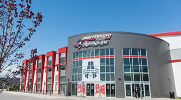 arena picture
